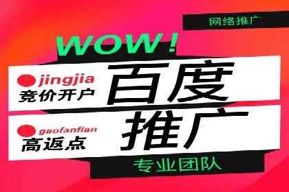 竞价代运营成功案例：如何实现广告投放效果翻倍